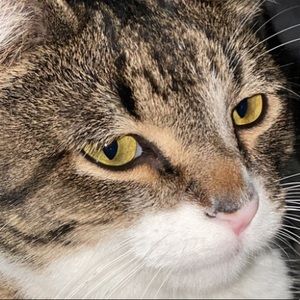 Meet your Posher, Riley